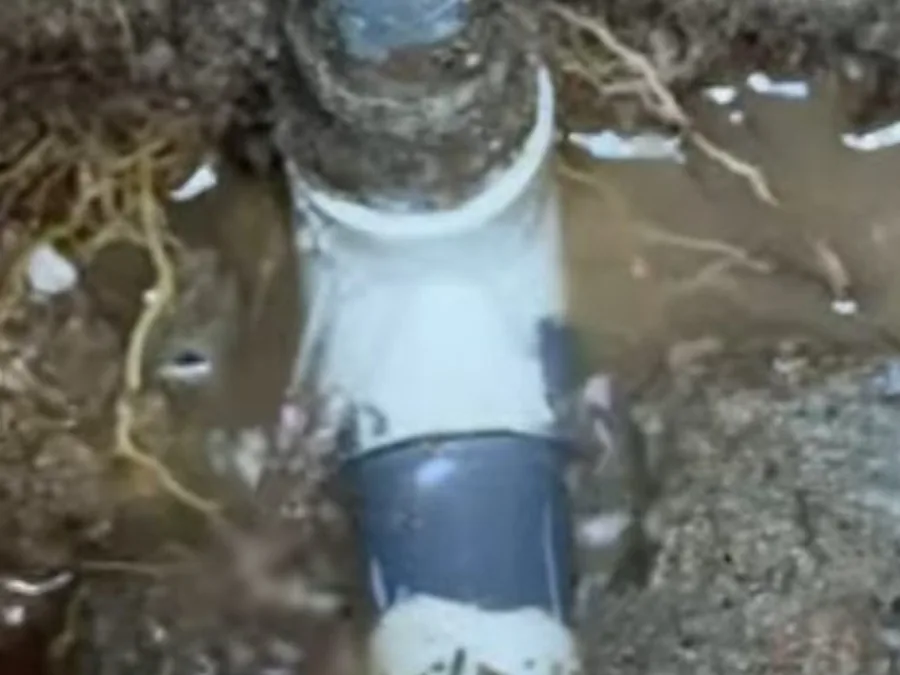 concrete slab opening and marked pipe route during leak repair shown as service detail for Plumbing Services in Glendora, CA